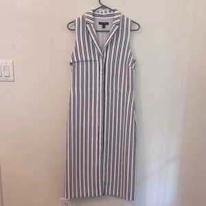 Banana Republic Black and White stripe dress